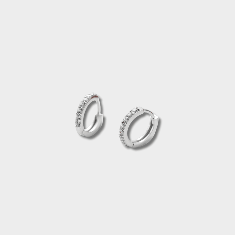 S925 Sterling Silver Earrings For Women | GottaIce
